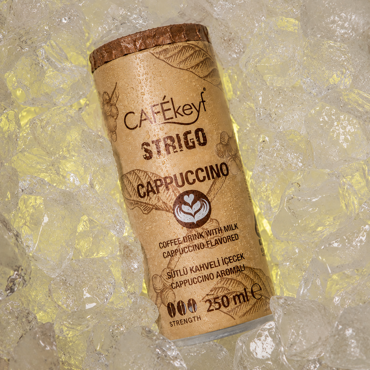CAFEkeyf Iced Coffee Cappuccino (12 stuks)