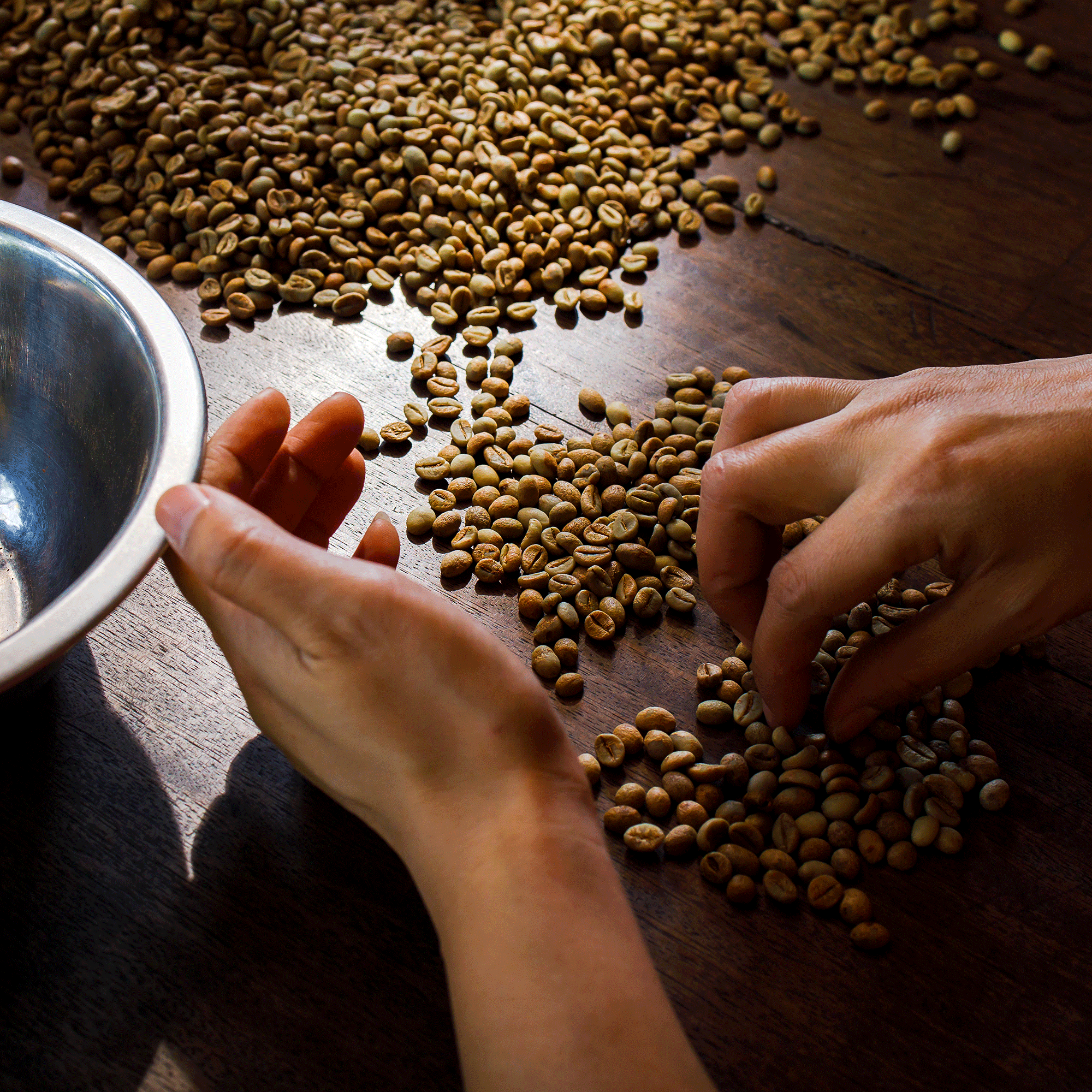 arabica bonen selectie
