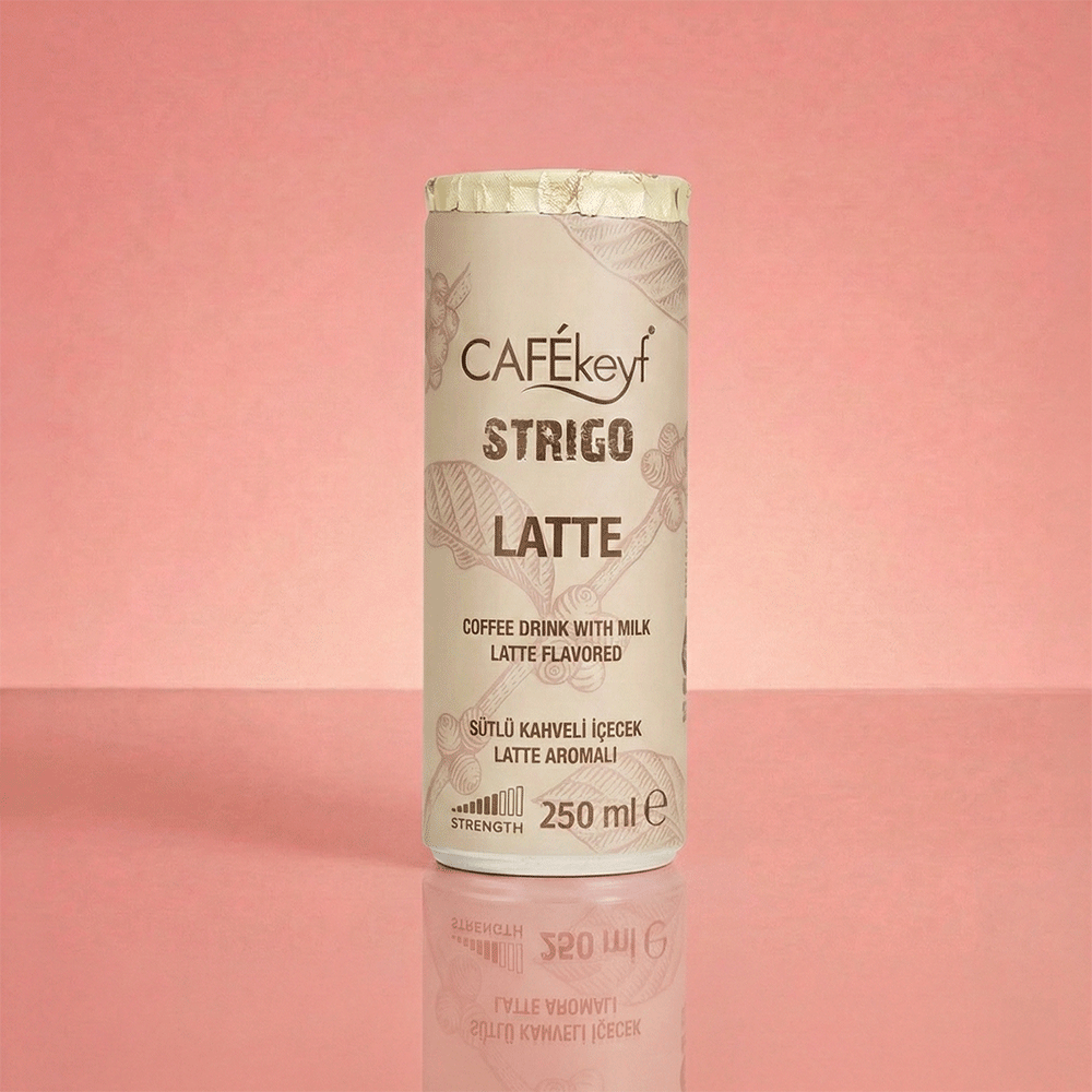 CAFEkeyf Iced coffee Latte (12 stuks)