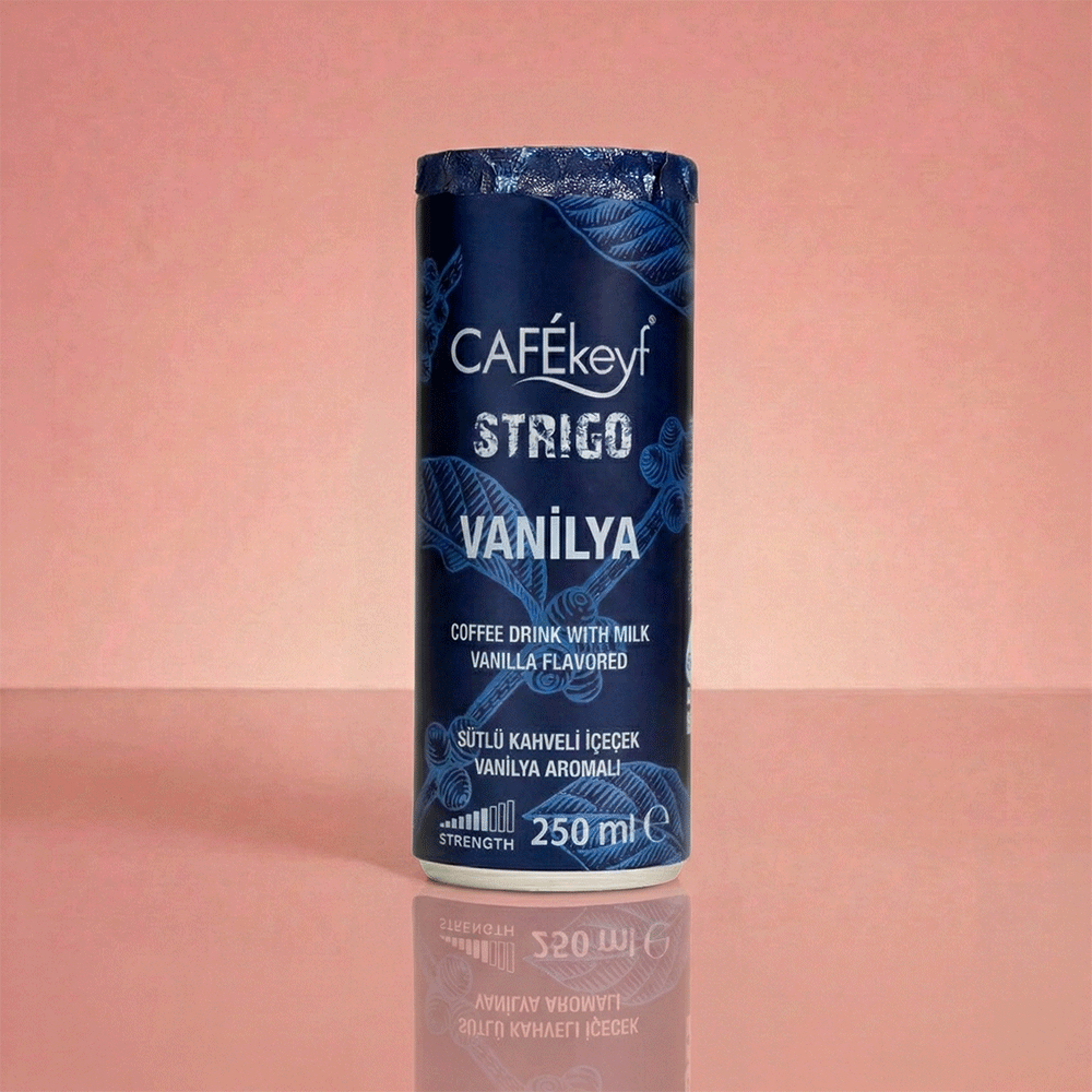 CAFEkeyf Iced coffee Vanille (12 stuks)