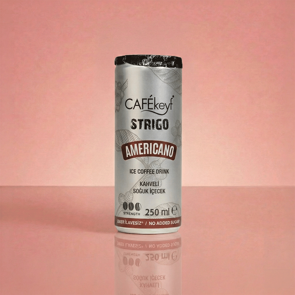 CAFEkeyf Iced coffee  (12 stuks)