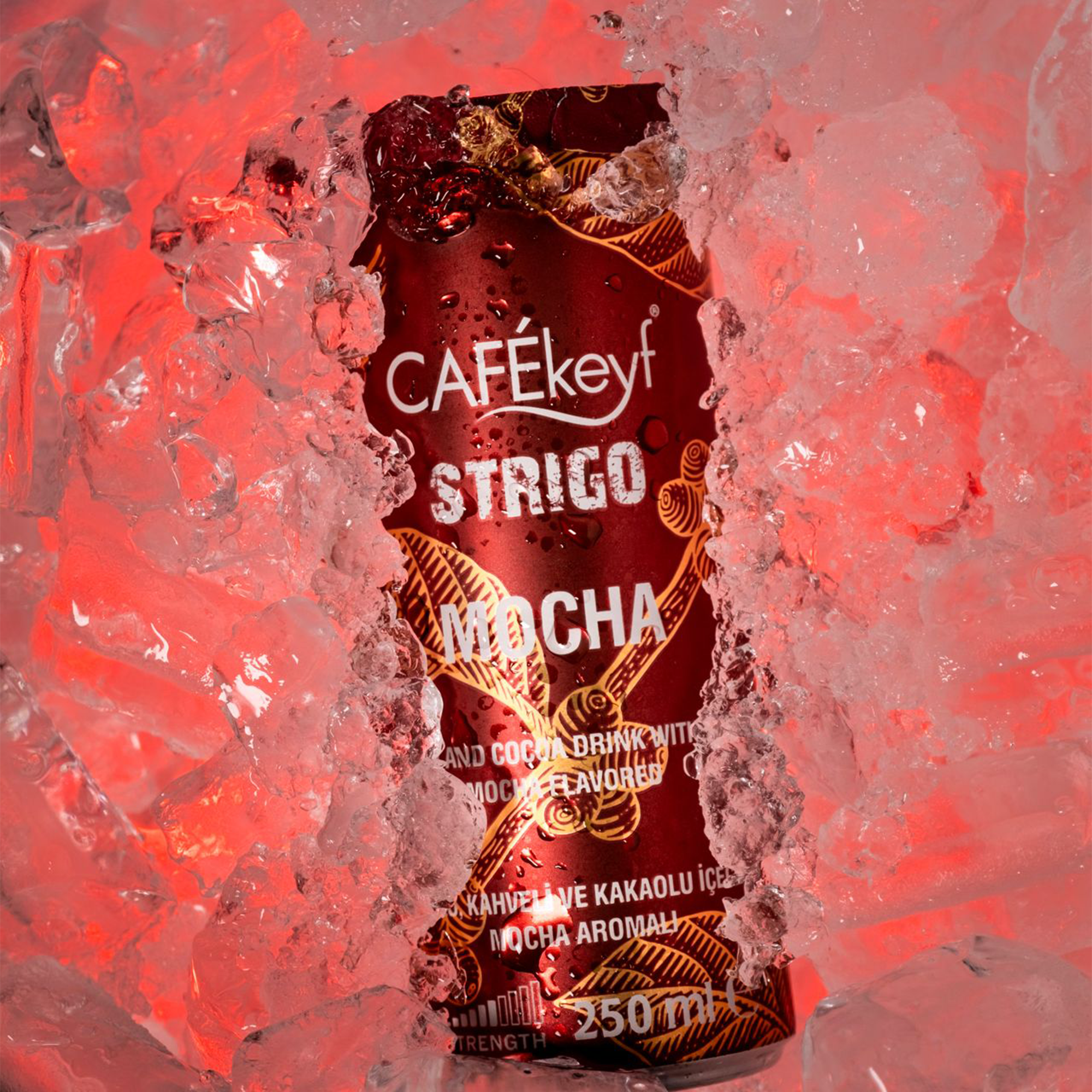 CAFEkeyf Iced coffee Mokka (12 stuks)