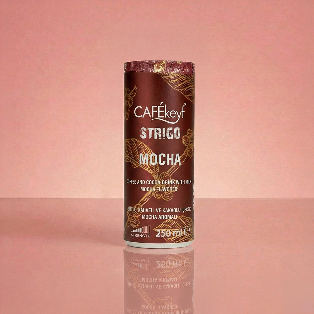 CAFEkeyf Iced coffee Mokka (12 stuks)